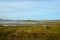 Green field and majestic ocean landscape in summer