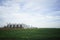 Green field and metallic silos in clrear sky