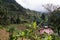 Green field near mount meru