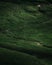 Green field on the plateau. Peaceful meadows