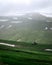 Green field on the plateau. Peaceful meadows