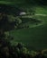 Green field on plateau. Peaceful meadows and trees