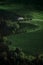 Green field on plateau. Peaceful meadows and trees