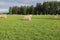 On green field the rolls of cut grass are dried for the cattle for the winter