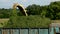 Green field in the summer of truck driving next to the combine