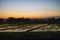 Green field at sunrise. Rice field under sun light