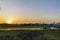 Green field at sunrise. Rice field under sun light