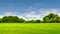 Green field, tree and blue sky.Great as a background,web banner