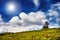 Green field and tree and blue sky with sun beam background