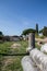 Green field with trees with ancient Roman columns arranged in rows. Old ruins in ancient Ostia