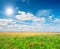 Green field under blue cloudy sky whit sun