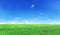 Green field under blue sky.