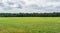 Green field under cloudy sky in overcast day