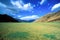 Green field valley in the himalayas