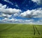 Green field of wheat over an amazing cloudscape