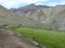 Green field of wheats in the remote Valley of Markah in Ladakh, India.