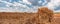 Green field on which cows grazePanorama of a large field on which bales of straw lie