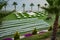 A green field with white chairs and tables. Place for wedding ceremonies.