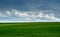 Green field of winter wheat, early spring with sky