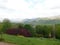 A green field with yellow and  purple shrubs and flowers and hills in the Lake District