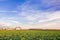 Green field of young rapeseed shoots and a new grain elevator on the horizon