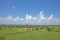 Green fields of Bagan