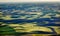 Green Fields Black Land Patterns Palouse