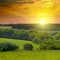 Green fields and a bright sunrise over the horizon.