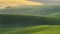 Green fields in the evening in South Moravia