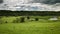 Green Fields and Grazing Sheep on British Countryside Time Lapse