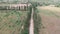 Green fields with horses graze in meadow. Cobblestone countryside road with trees. Epic rural landscape