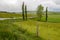 Green fields with a lot of sheep along the Geraldine-Fairlie Highway