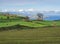 Green fields pasture with grazing cow herd and coastal cliffs, blue ocean and sky horizon at north coast of sao miguel