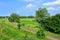 Green fields and railroad tracks