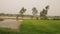 Green fields in rural area of Punjab, Pakistan