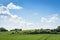 Green fields in rural environment in the spring