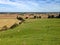 Green fields with sheep, hills and blue sky in the Lincolnshire countryside