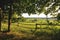 The green fields in summer, with a wooden fence separating it from the forest in Unterallgau,Germany