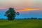 green fields in twilight