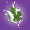 Green Fig Leaf. Realistic 3d Figs Leaf With Splashing Milk. Detailed 3d Illustration Isolated On Purple with Yogurt Splash.