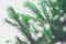 Green Fir Branches Drawing Snow Flakes Effect Close Up Christmas and New Year Background Close Up Horizontal