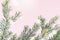 Green Fir Branches Drawing Snow Flakes Effect Close Up Christmas and New Year Background Close Up Horizontal