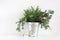 Green fir branches in metalic bucket. Christmas composition with pinecones, wooden star and spool of ribbon lying on