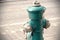 Green fire hydrant on paved street road