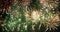 Green Firework celebrate anniversary happy new year 2024, 4th of july holiday festival. Green firework in night time celebrate