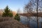 Green firs and bare trees by the river at dawn in the sunlight against the blue sky. Beautiful spring landscape.