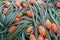 Green fishing net ropes with orange floats