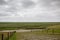 Green flat salt marshes near the North Sea