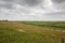 Green flat salt marshes near the North Sea