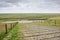 Green flat salt marshes near the North Sea